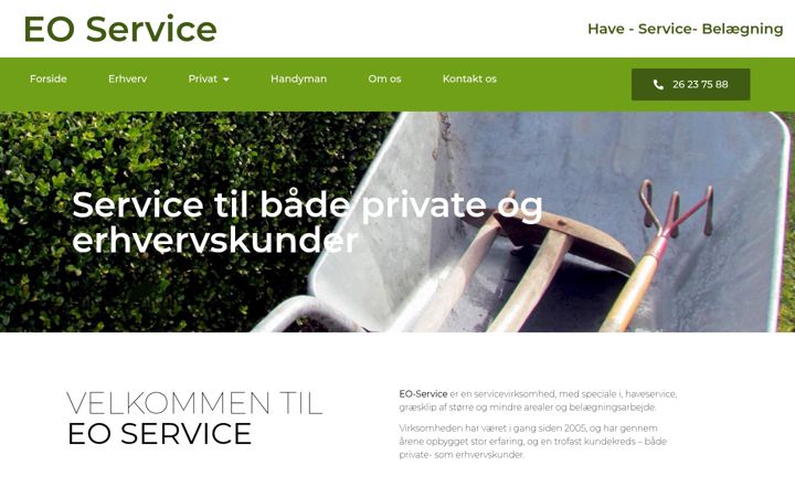 Screenshot stránky eoservice.dk
