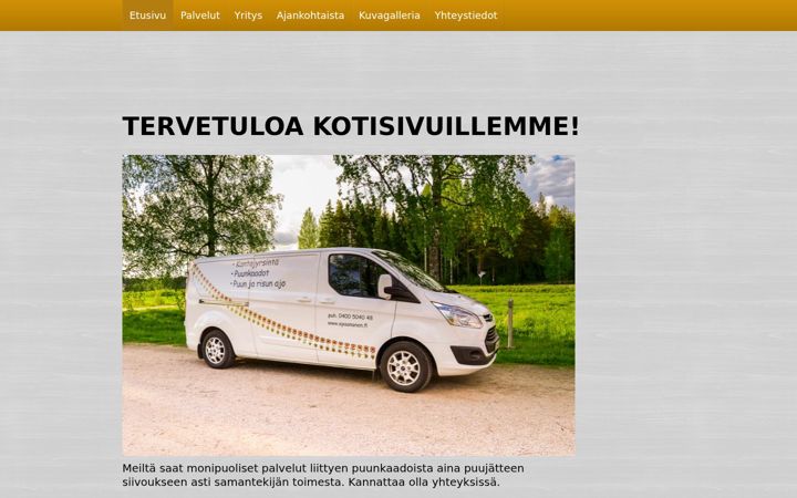 Screenshot του epaananen.fi