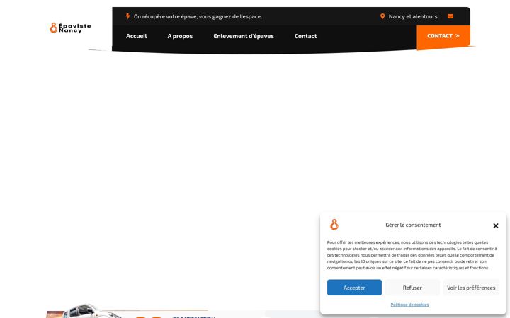 Screenshot ta' epaviste-nancy.fr