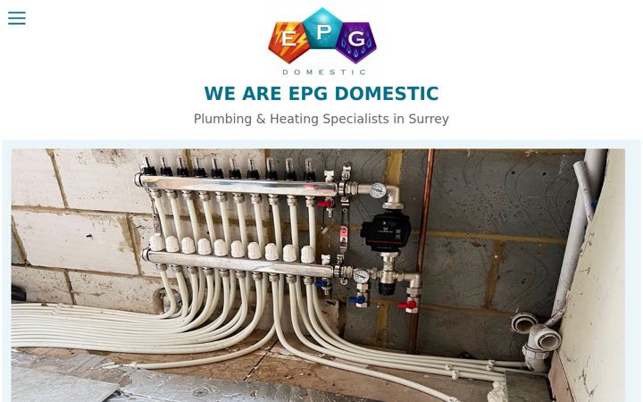 Zrzut ekranu epg-domestic.co.uk