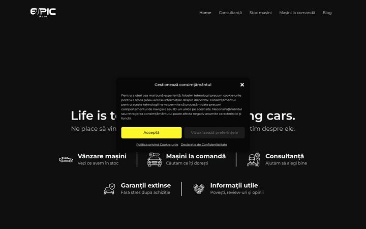 Posnetek zaslona epicauto.ro