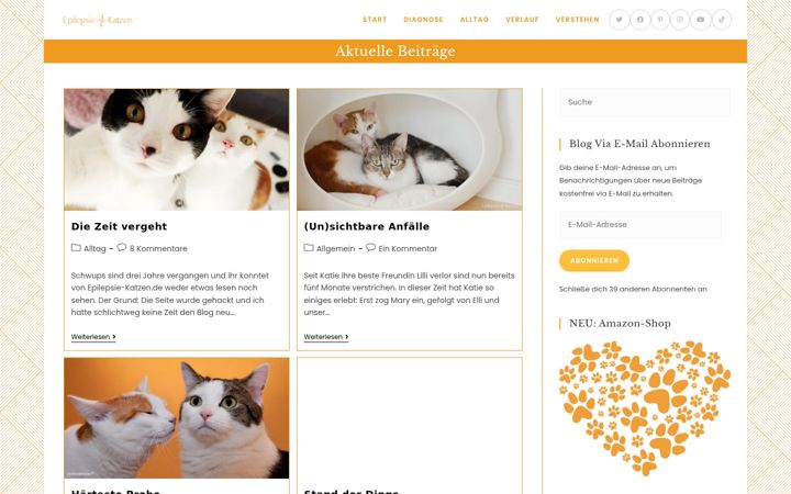 Captură de ecran a epilepsie-katzen.de