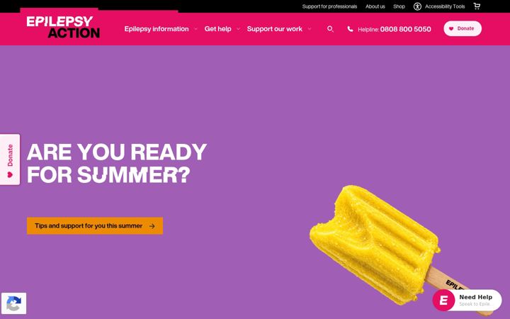 Screenshot of epilepsy.org.uk