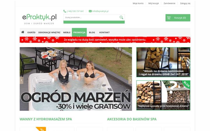Screenshot of epraktyk.pl