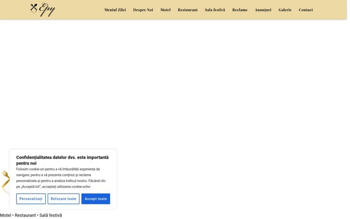 Screenshot stránky epy.ro