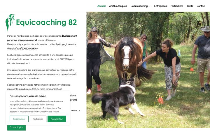 Screenshot of equicoaching82.fr