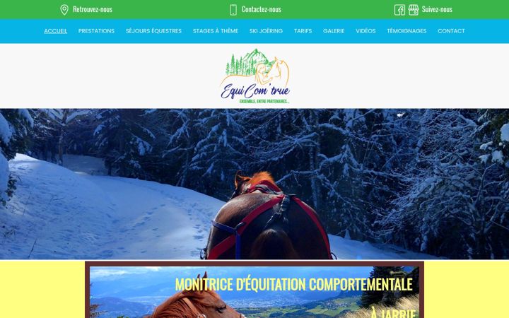 Screenshot of equicomtrue.fr