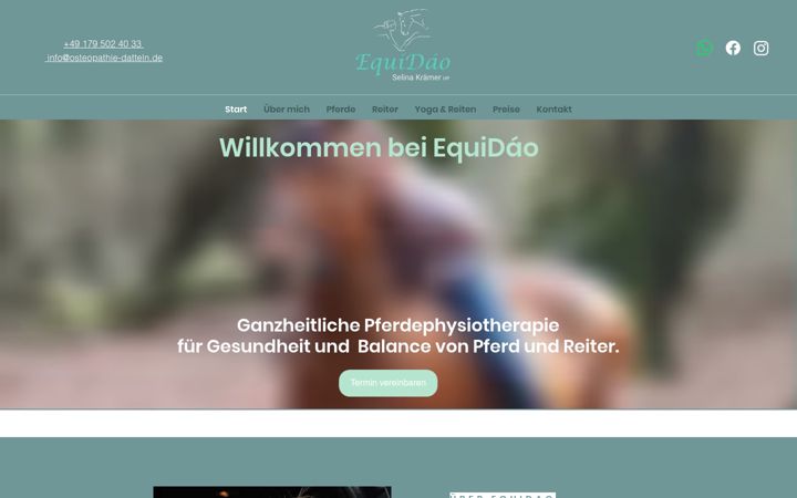 Screenshot ta' equidao.de