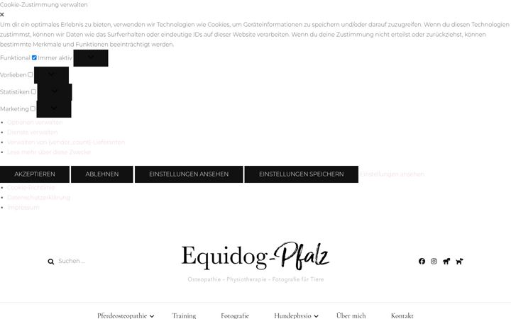 Screenshot ta' equidog-pfalz.de