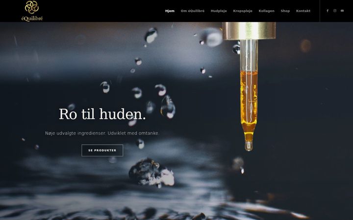 Skärmbild av equilibre.dk