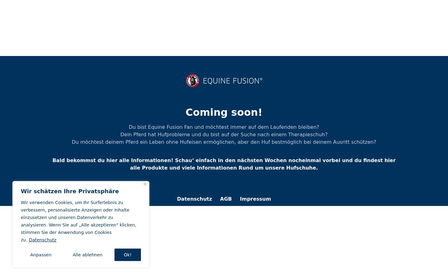 Képernyőkép a bármilyen interakció előtt megjelenő hozzájárulási bannerről