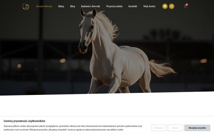 Screenshot of equinelighttherapy.pl