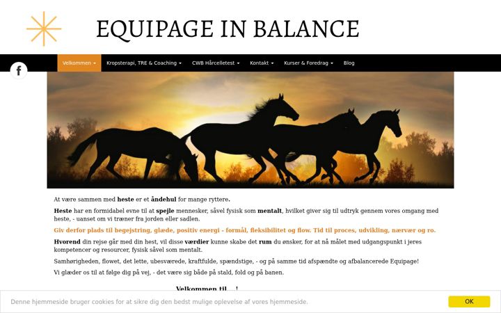 Skärmbild av equipageinbalance.dk