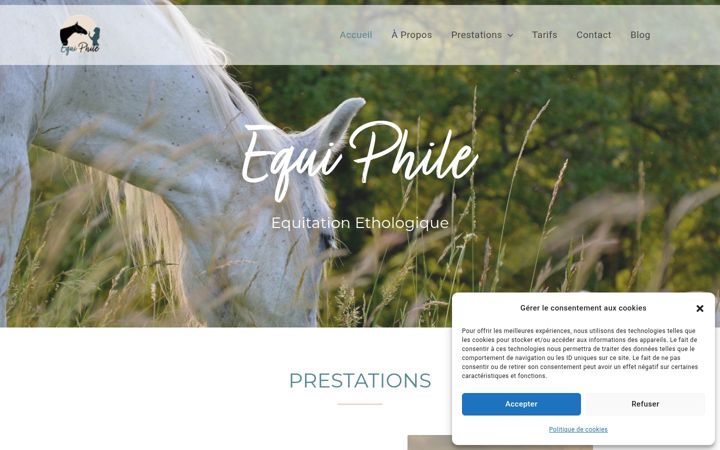 Screenshot of equiphile.fr