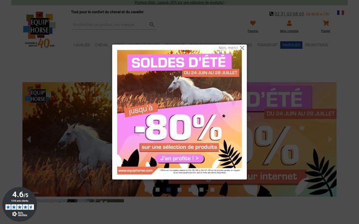 Screenshot of equiphorse.com