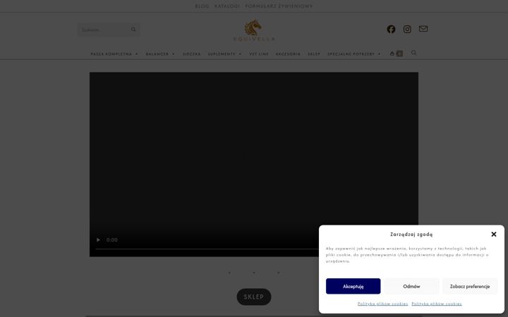 Screenshot of equivella.pl