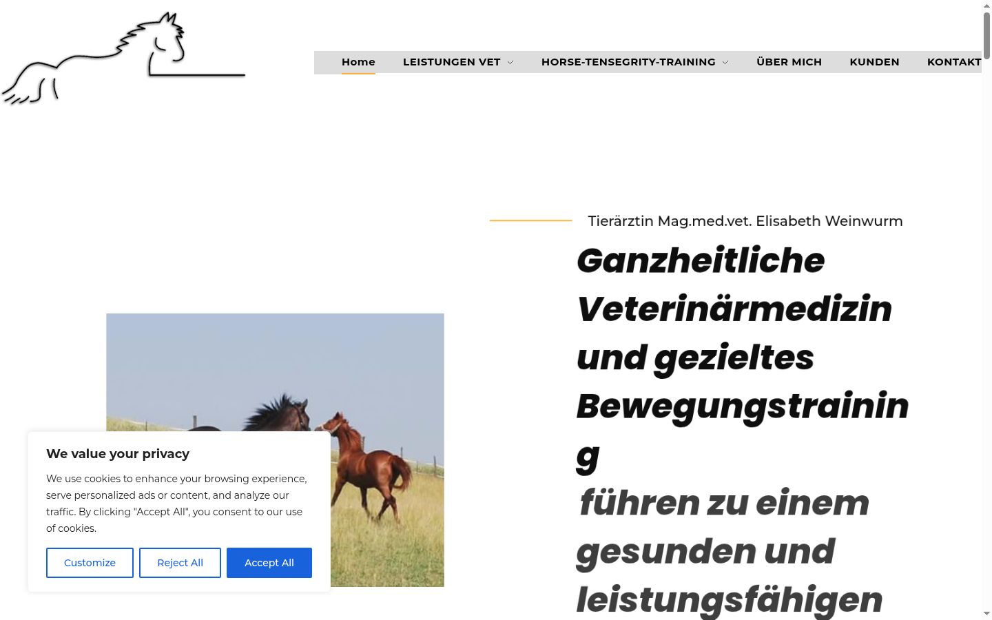 Screenshot des Einwilligungsbanners vor jeglicher Interaktion