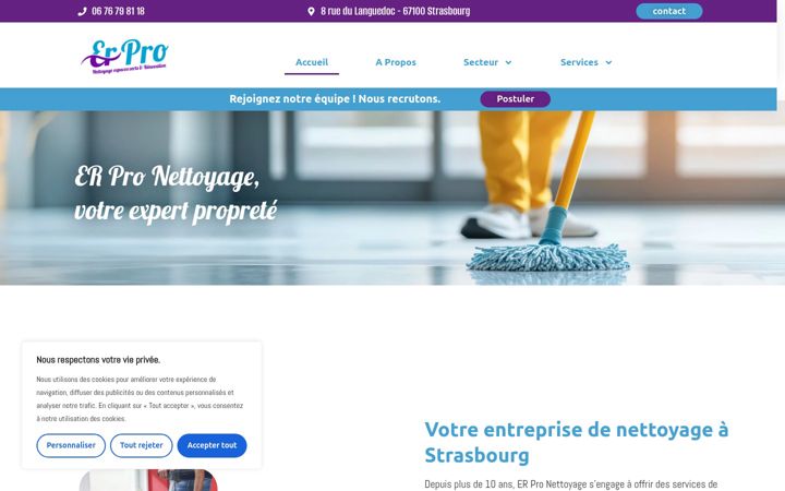 Screenshot ta' er-pro.fr