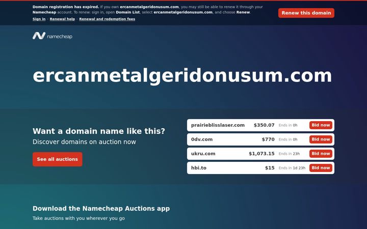Screenshot of ercanmetalgeridonusum.com