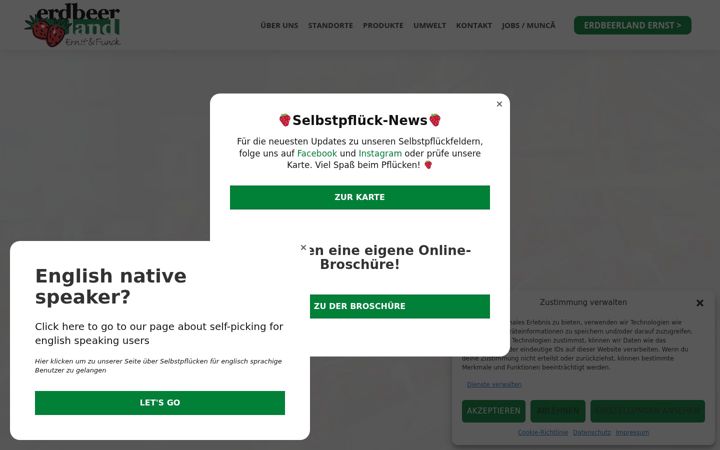 Zrzut ekranu erdbeerlandfunck.de