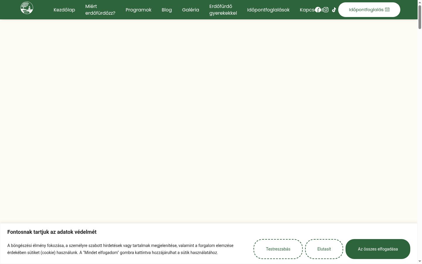 Skærmbillede af samtykkebanneret, som det blev vist før nogen interaktion