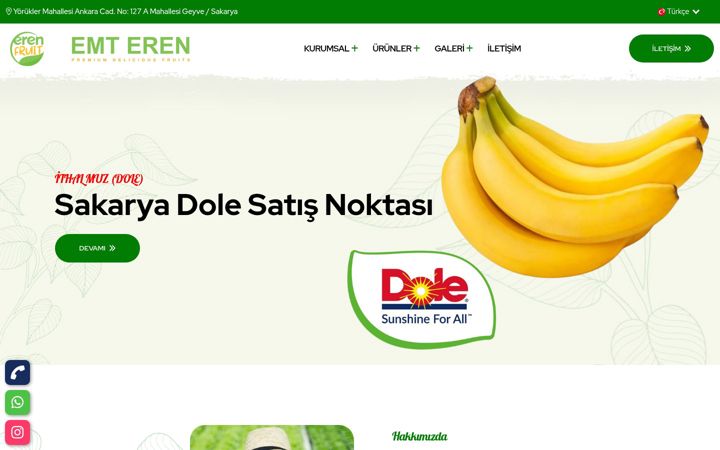 Zrzut ekranu erenfruit.com.tr