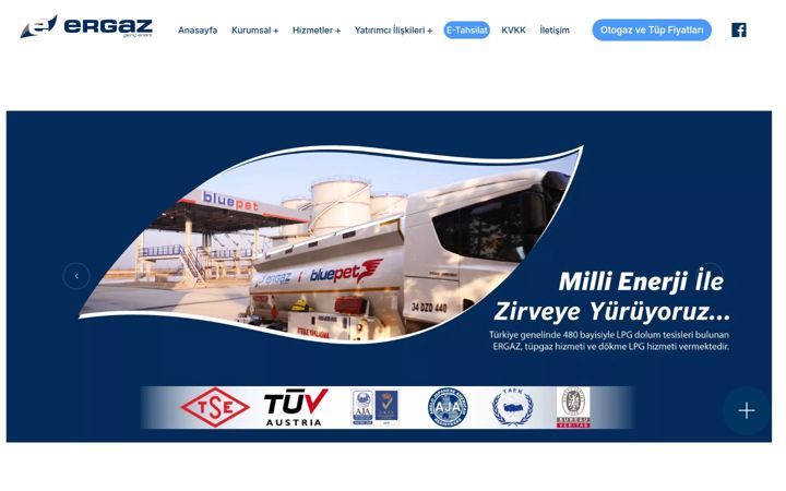 Zrzut ekranu ergaz.com.tr