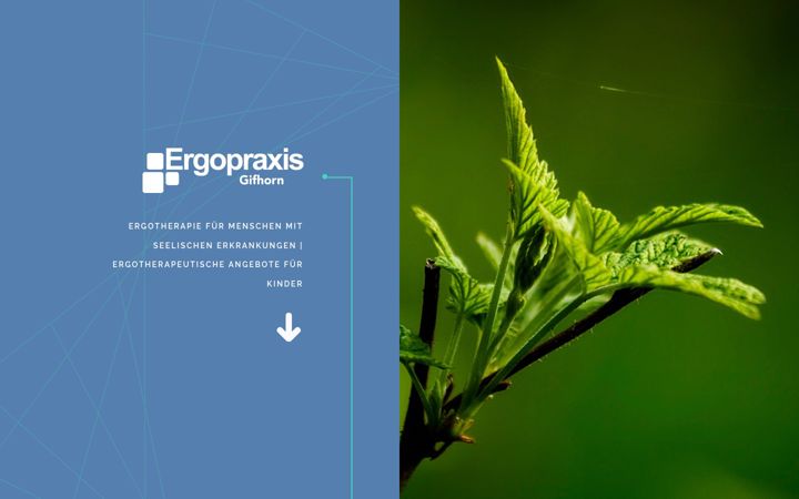 Captura de pantalla de ergopraxis-gifhorn.de