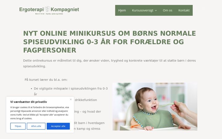 Képernyőkép: ergoterapikompagniet.dk