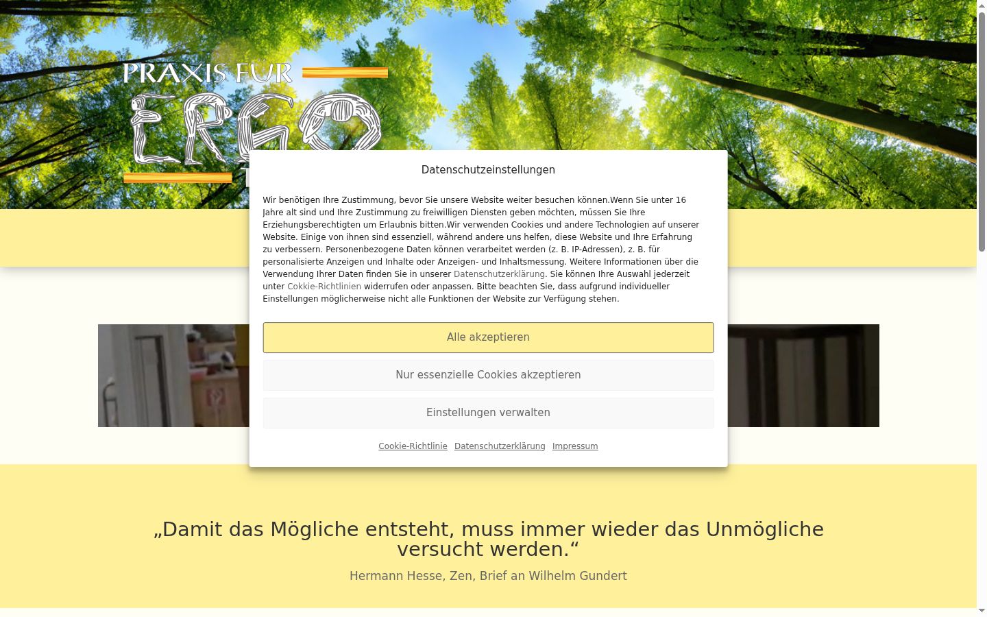 Skärmbild av samtyckesbannern som visades före någon interaktion