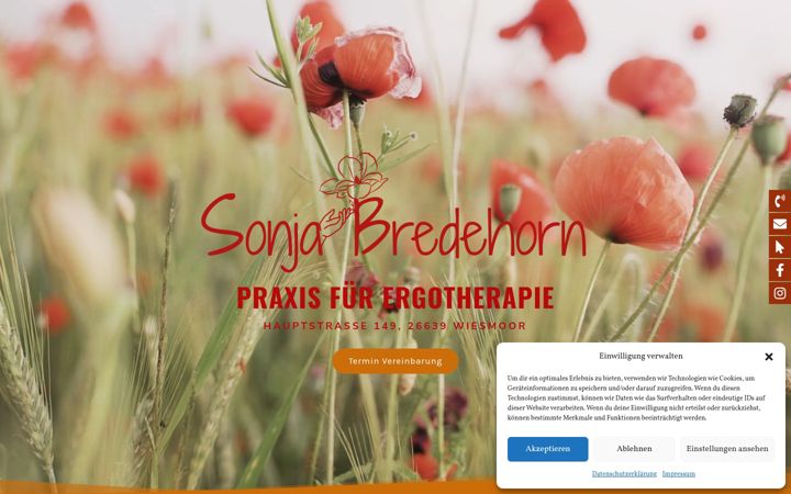 Zrzut ekranu ergotherapie-bredehorn.de