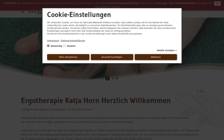 Snímek obrazovky ergotherapie-horn.de