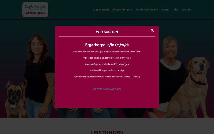 Snímek obrazovky ergotherapie-quade.de