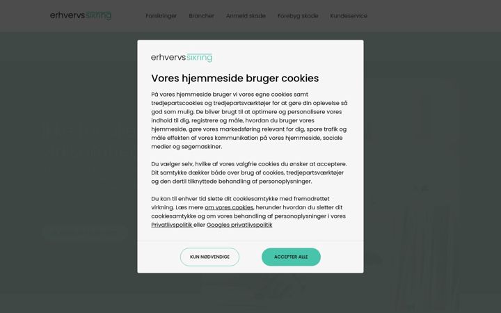 Skärmbild av erhvervs-sikring.dk