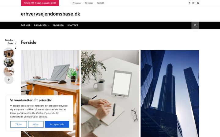 Skärmbild av erhvervsejendomsbase.dk