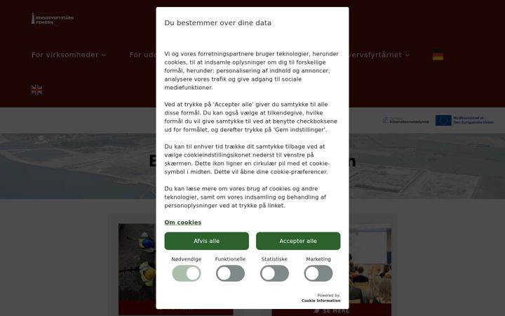 Captură de ecran a erhvervsfyrtaarn-femern.dk