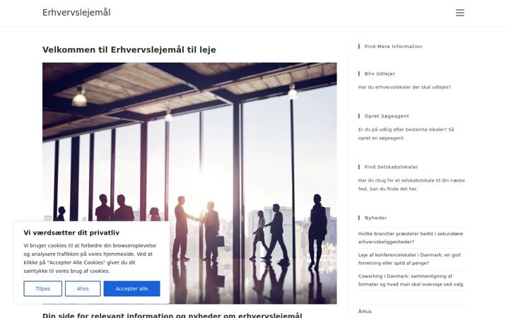 Képernyőkép: erhvervslejemaal-til-leje.dk