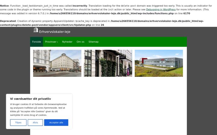 Képernyőkép: erhvervslokaler-leje.dk