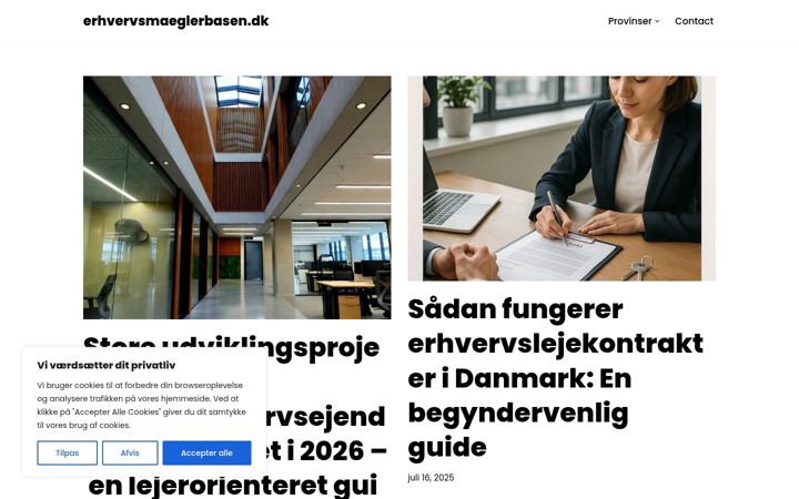 Képernyőkép: erhvervsmaeglerbasen.dk