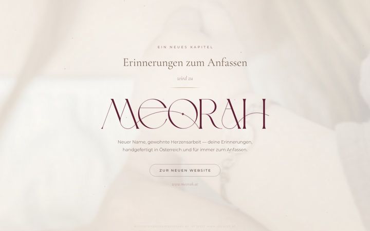 Screenshot di erinnerungenzumanfassen.at