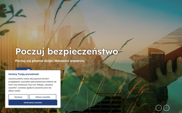 Screenshot stránky erka.rzeszow.pl