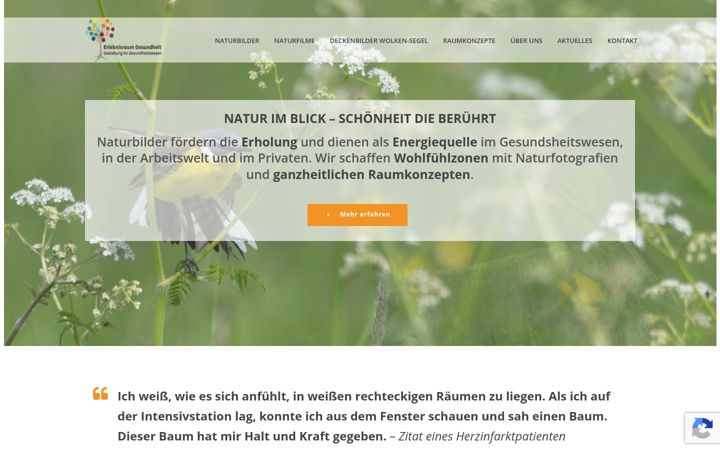 Képernyőkép: erlebnisraum-gesundheit.de