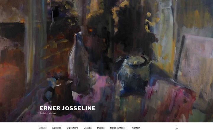 Screenshot ta' erner.fr