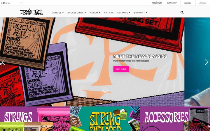Screenshot ta' ernieball.fr