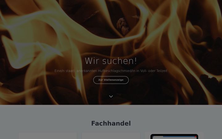 Screenshot of ernst-niemerg.de