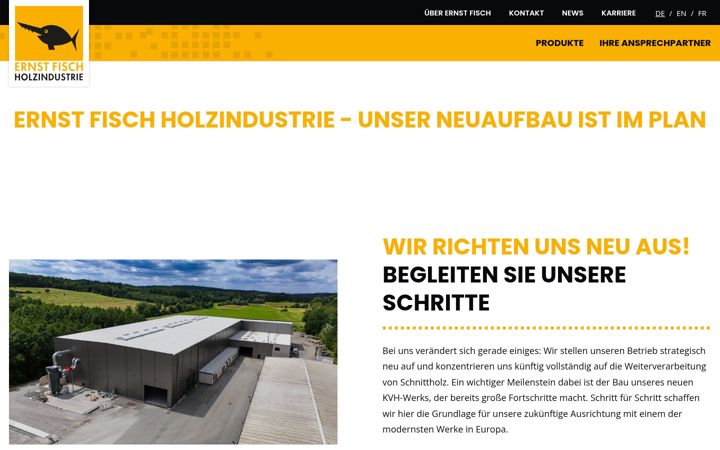Screenshot of ernstfisch.de