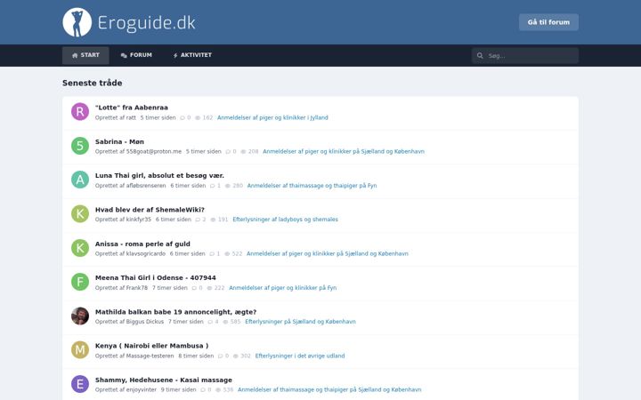 Screenshot of eroguide.dk