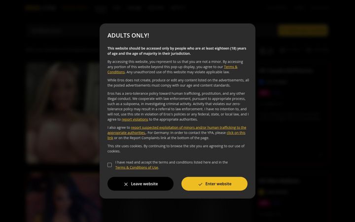 Skærmbillede af eros.com