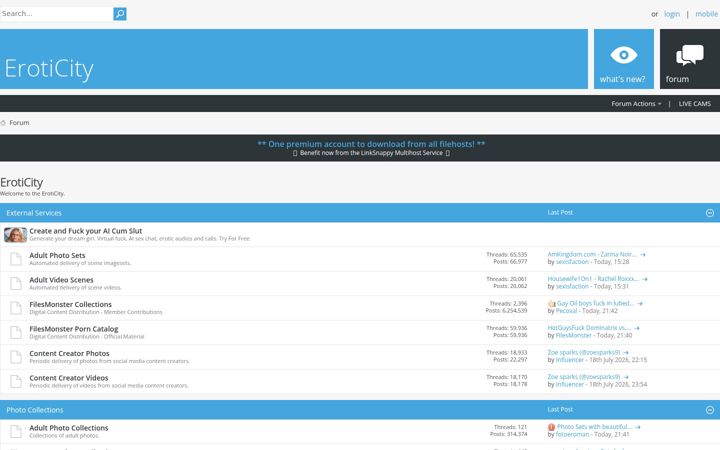 Screenshot of eroticity.net