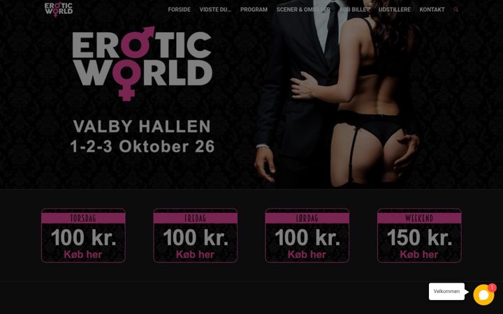 Screenshot stránky eroticworld.dk